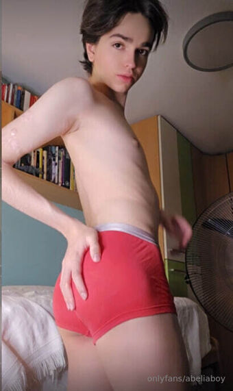 abeliaboy