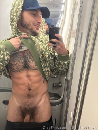 adonisbreedsvip