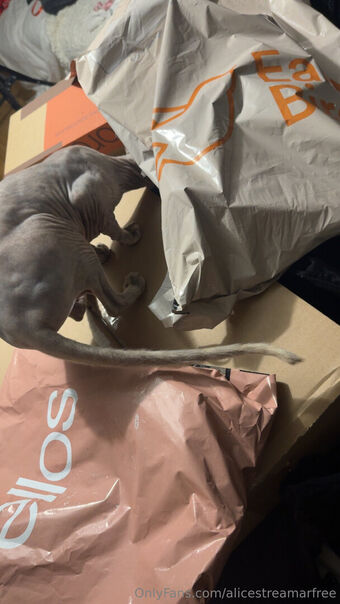 alicestreamarfree Голе фотографије OnlyFans 4