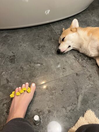 bellas_paws