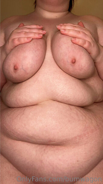 bumwagon