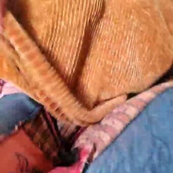 Cami Sweet Голе фотографије OnlyFans 40