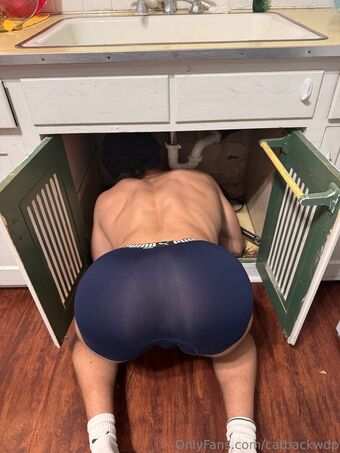 catbackwdp Голе фотографије OnlyFans 15