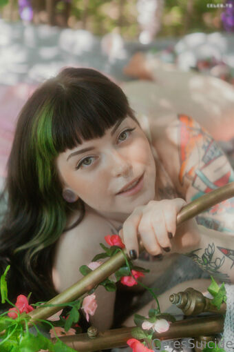 Ceres Suicide