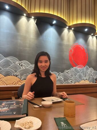daisy_n1