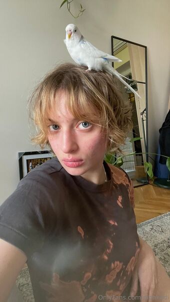 Dionkadi