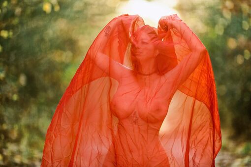 Fallenfaery