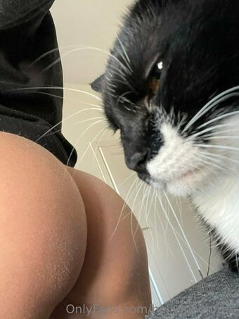 hollymoonvvip Голе фотографије OnlyFans 3