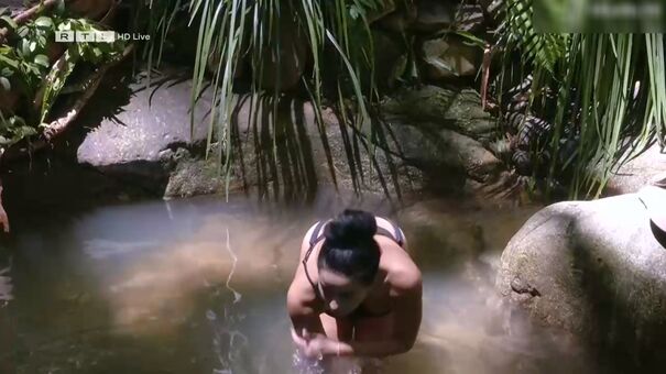 Ich bin ein Star – Holt mich hier raus!