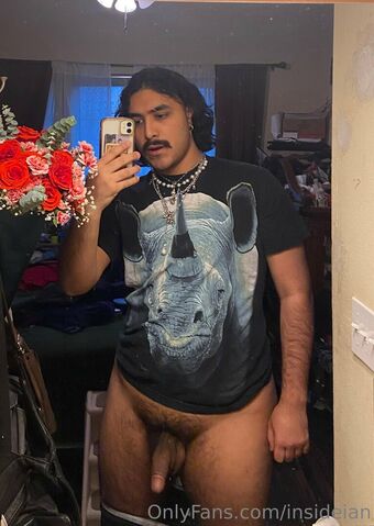 insideian Голе фотографије OnlyFans 17