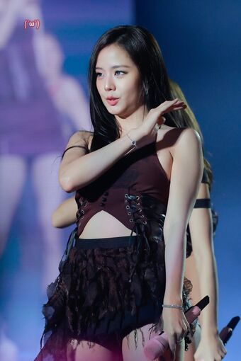 Jisoo Голе фотографије OnlyFans 750