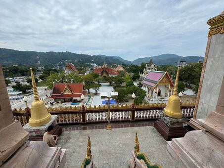 Kittyflightattendant