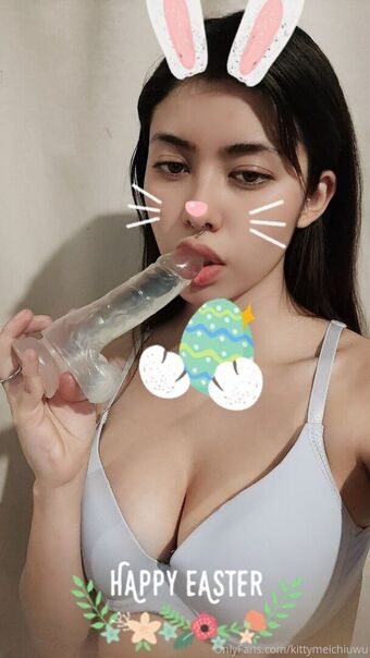 Kittymeichi