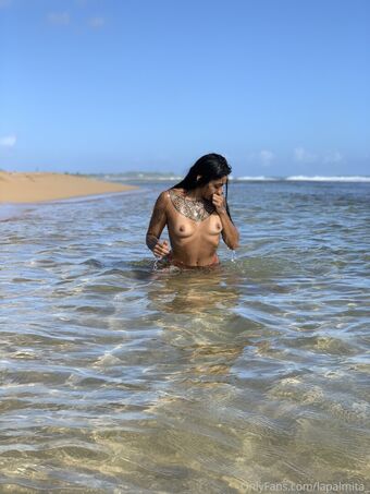 lapalmita_
