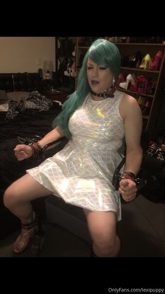 lexipuppy