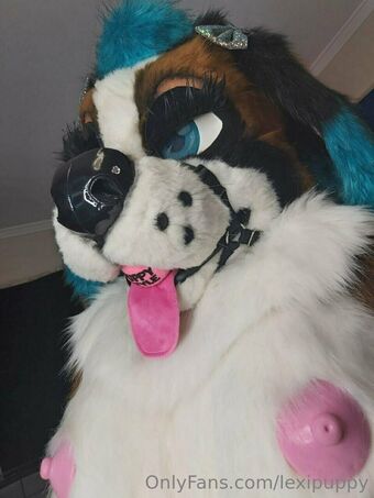 lexipuppy
