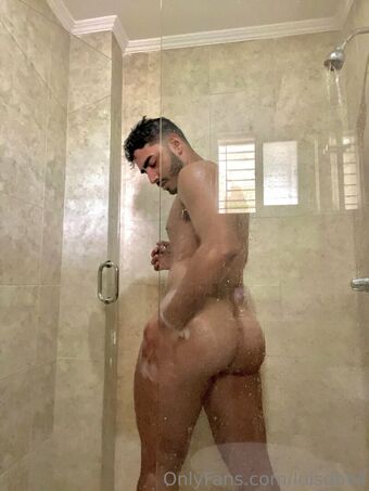 luisgbv4