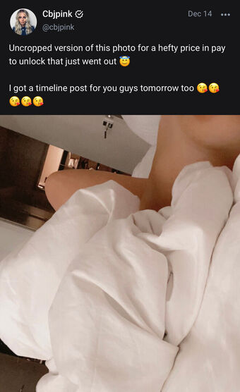 PinkCBJ Голе фотографије OnlyFans 14