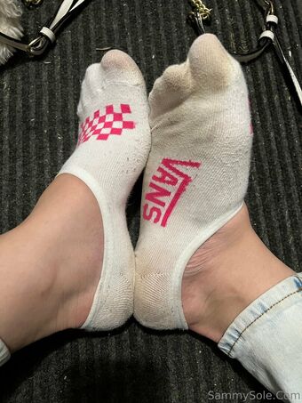 sammysole