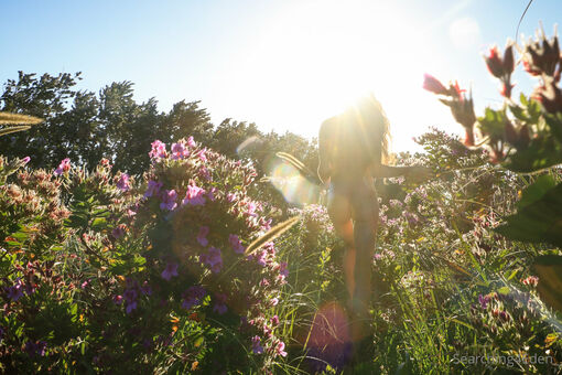 searching4eden_4free