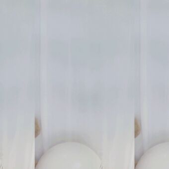 seosils2