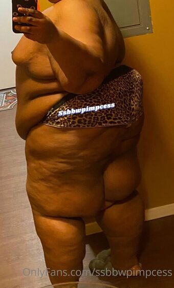 Ssbbwpimpcess Голе фотографије OnlyFans 27