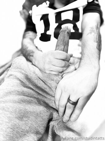 studintatts