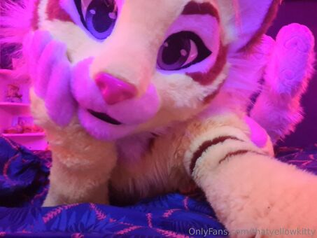 thatyellowkitty