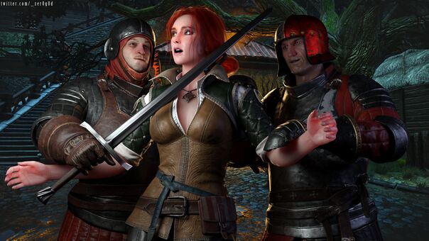 The-witcher