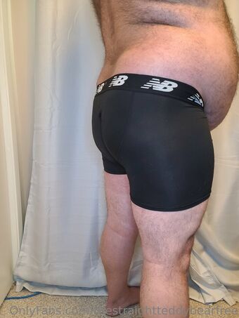 thestraightteddybearfree